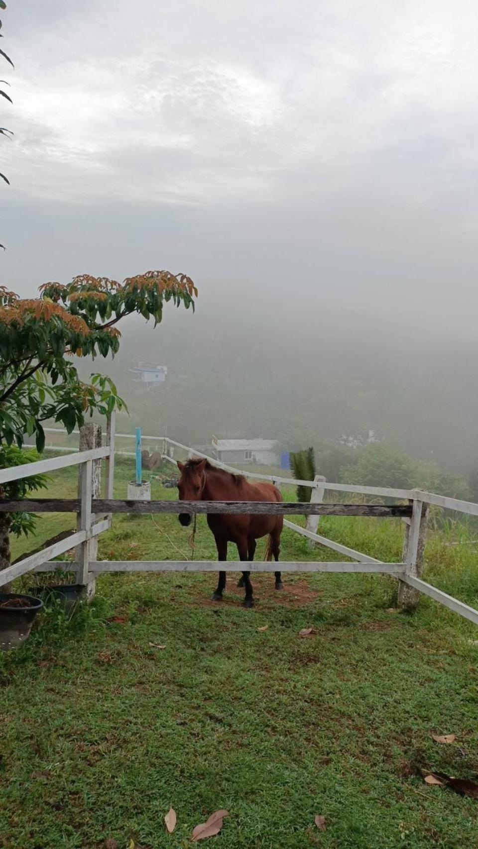 Phang Nga Viewpoint Экстерьер фото